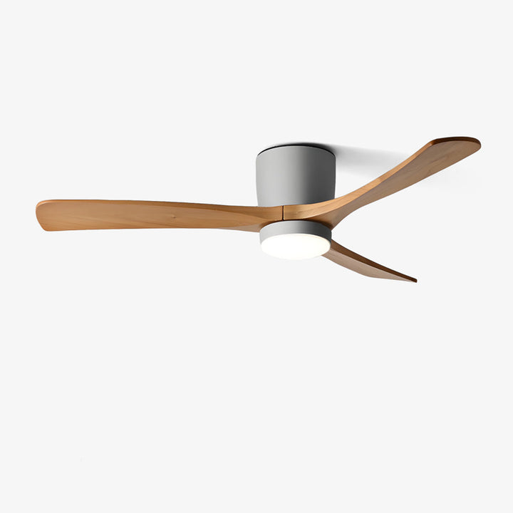 Elaerine Ceiling Fan Light