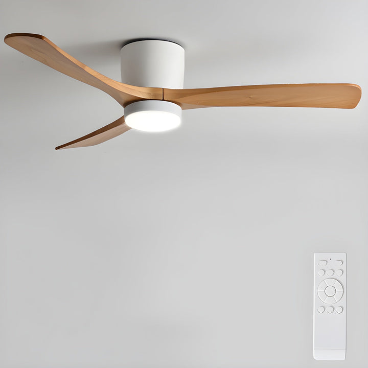 Elaerine Ceiling Fan Light