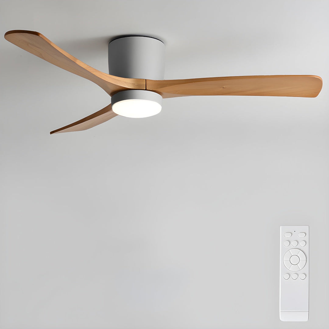 Elaerine Ceiling Fan Light