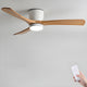 Elaerine Ceiling Fan Light