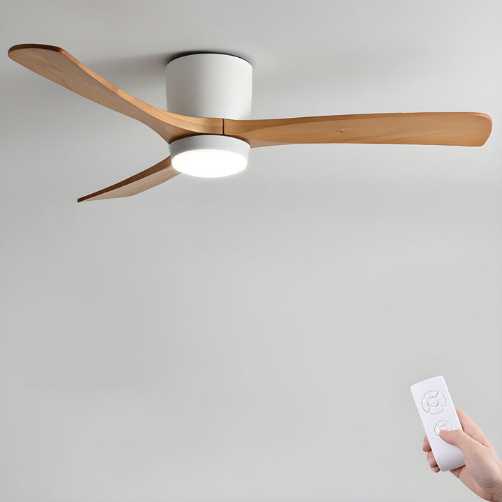 Elaerine Ceiling Fan Light