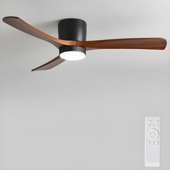 Elaerine Ceiling Fan Light