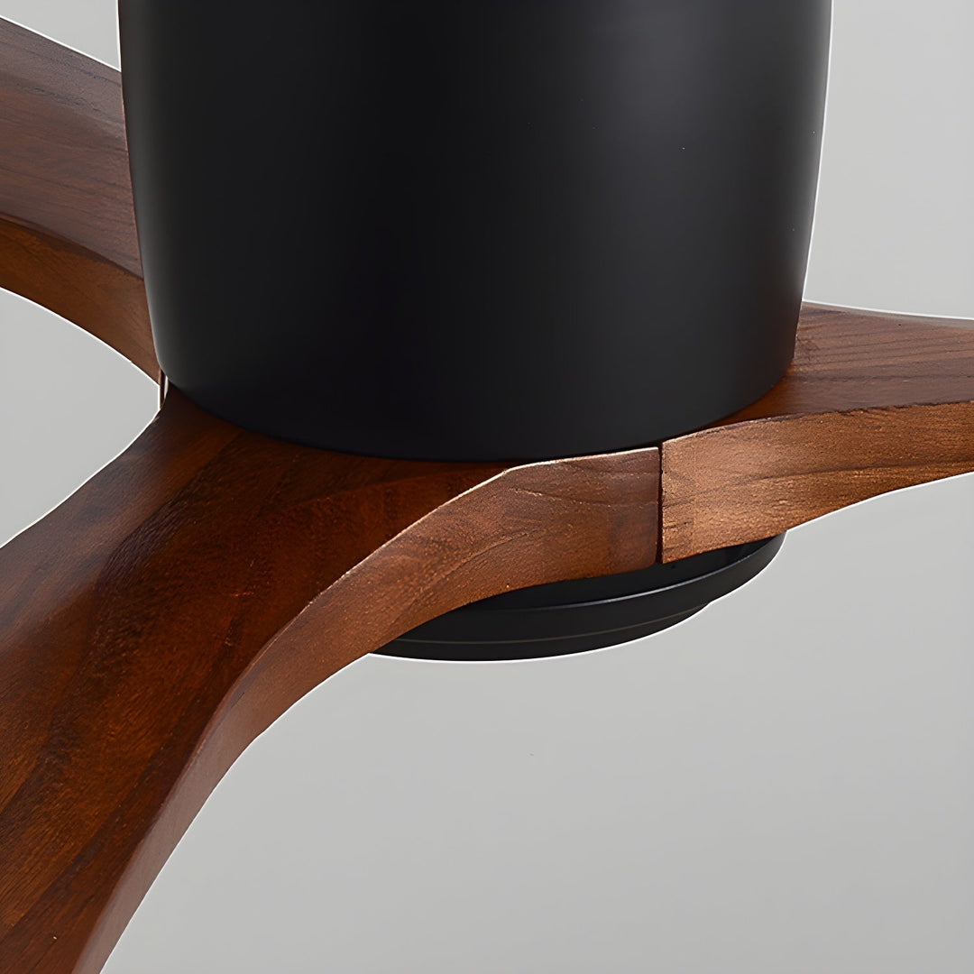 Elaerine Ceiling Fan Light