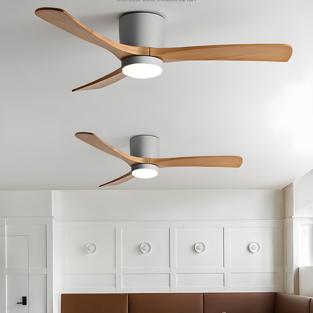 Elaerine Ceiling Fan Light