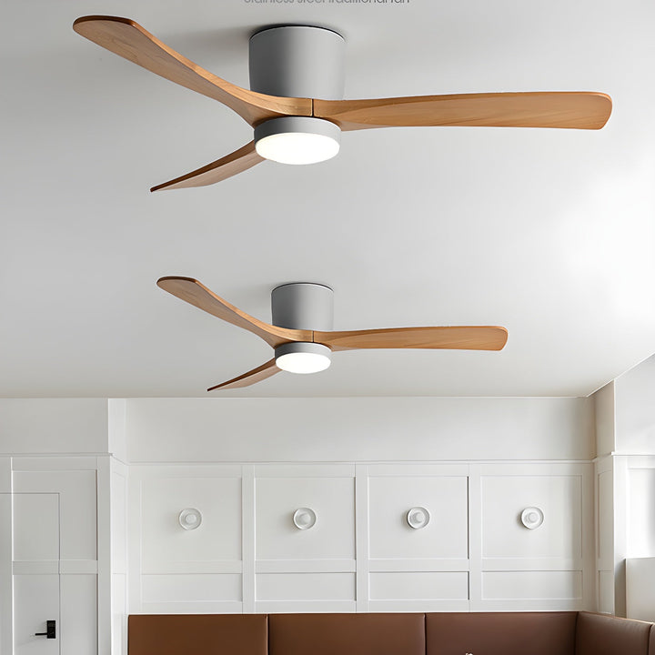Elaerine Ceiling Fan Light