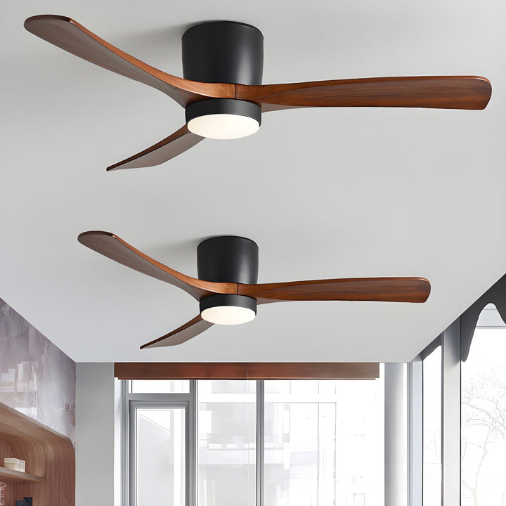 Elaerine Ceiling Fan Light