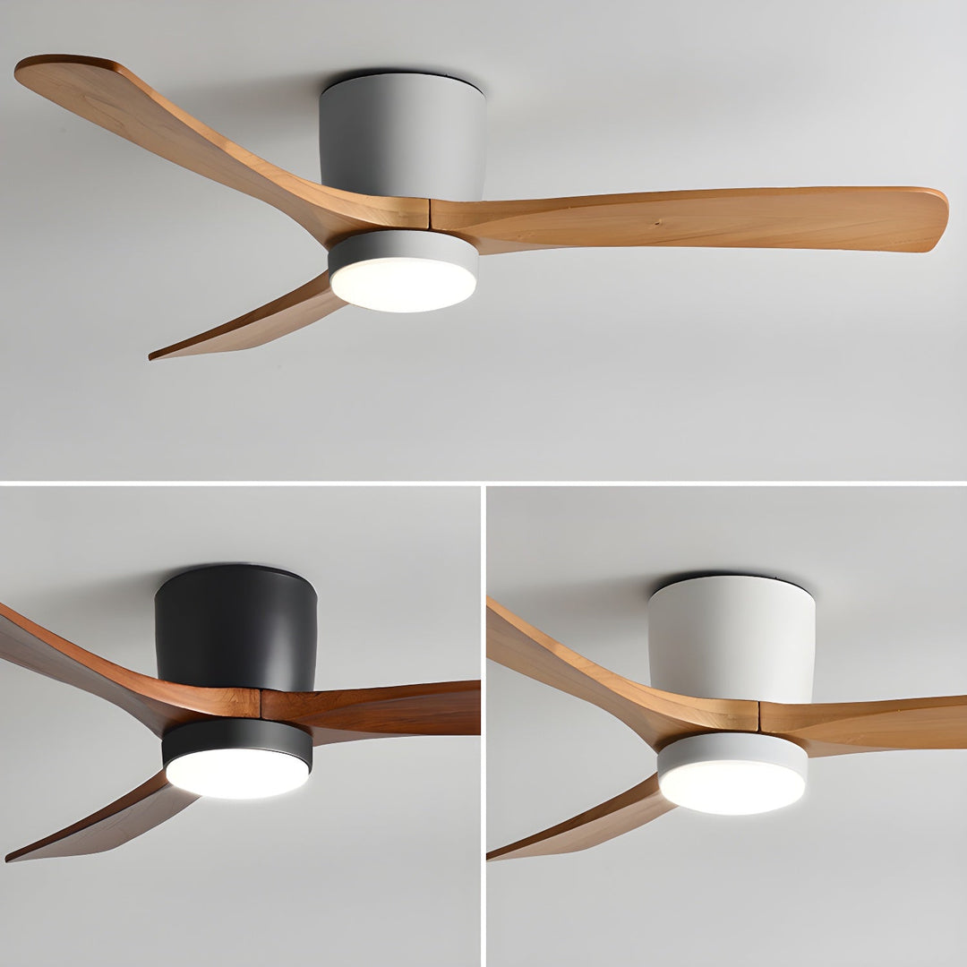 Elaerine Ceiling Fan Light