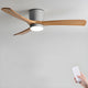 Elaerine Ceiling Fan Light