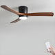 Elaerine Ceiling Fan Light
