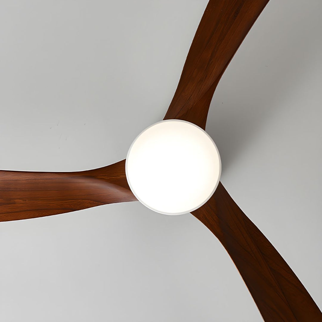 Elaerine Ceiling Fan Light