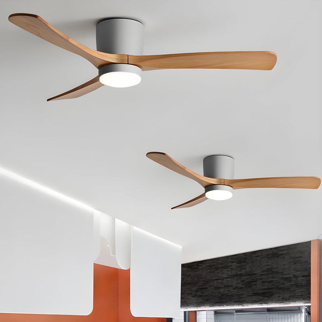 Elaerine Ceiling Fan Light