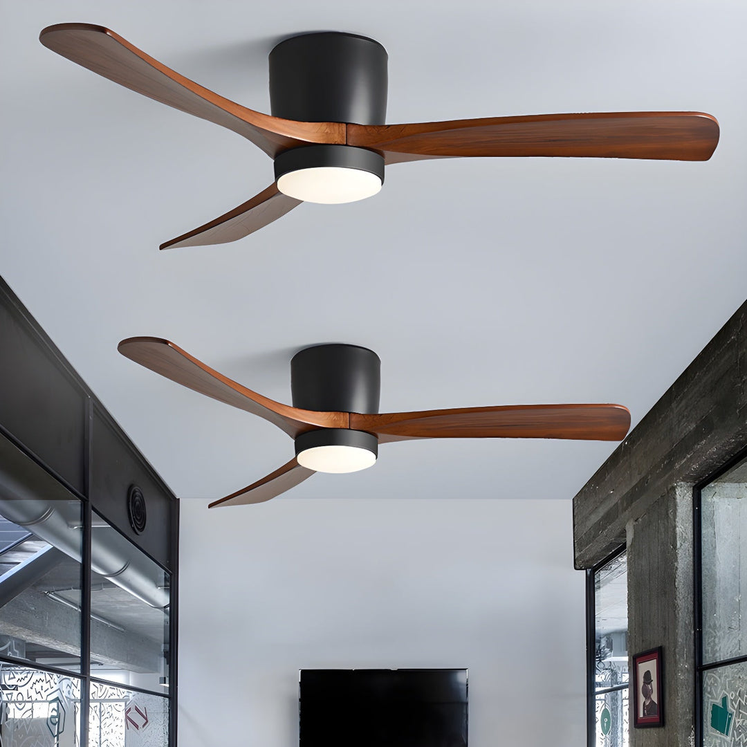 Elaerine Ceiling Fan Light