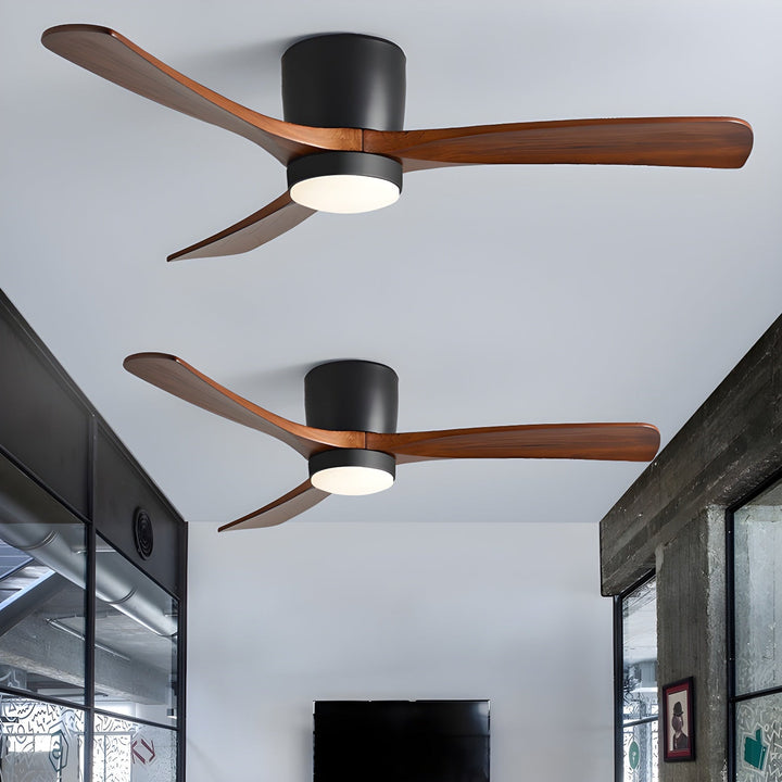Elaerine Ceiling Fan Light