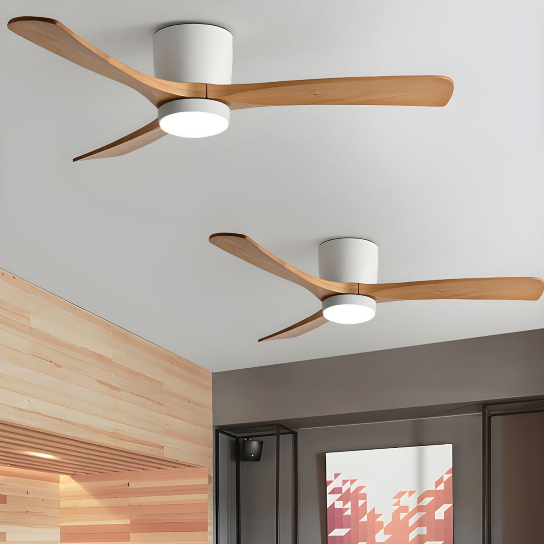 Elaerine Ceiling Fan Light