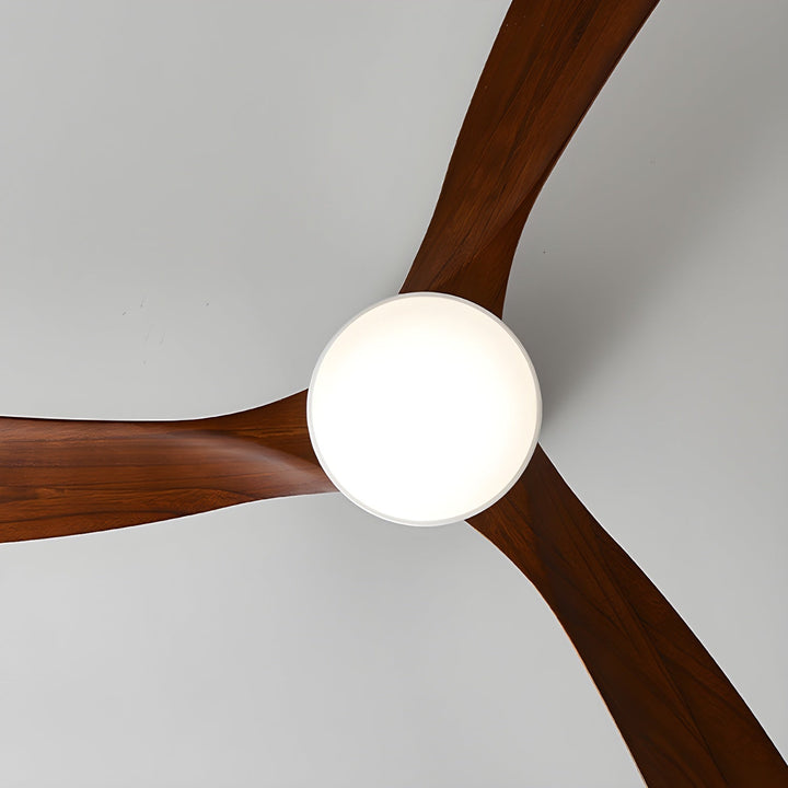 Elaerine Ceiling Fan Light