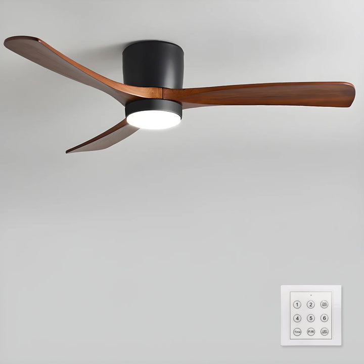 Elaerine Ceiling Fan Light