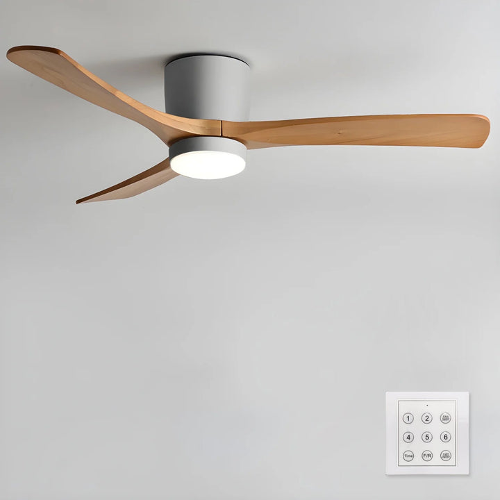 Elaerine Ceiling Fan Light