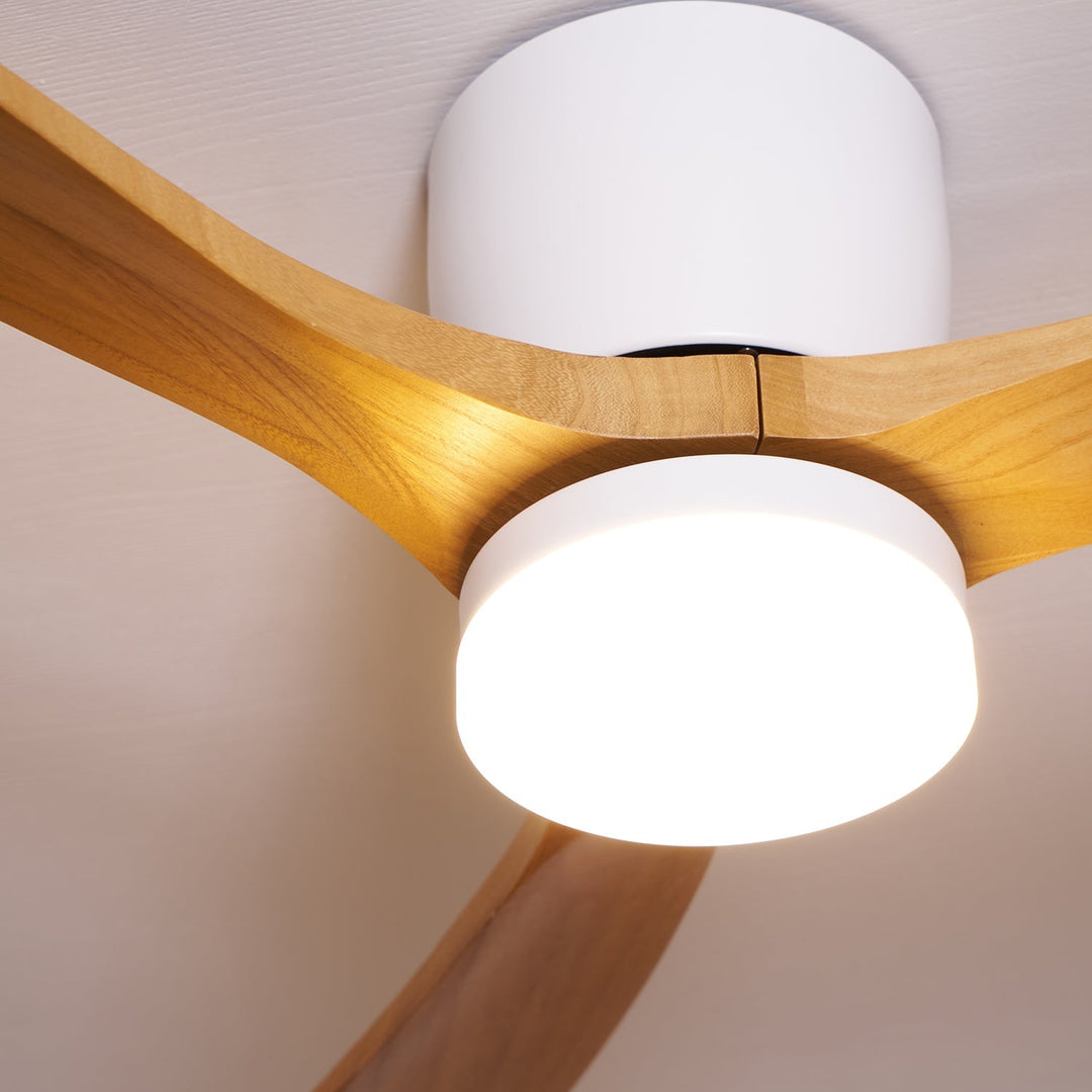 Elaerine Ceiling Fan Light