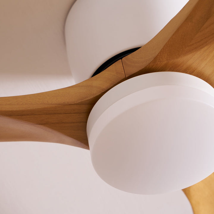 Elaerine Ceiling Fan Light
