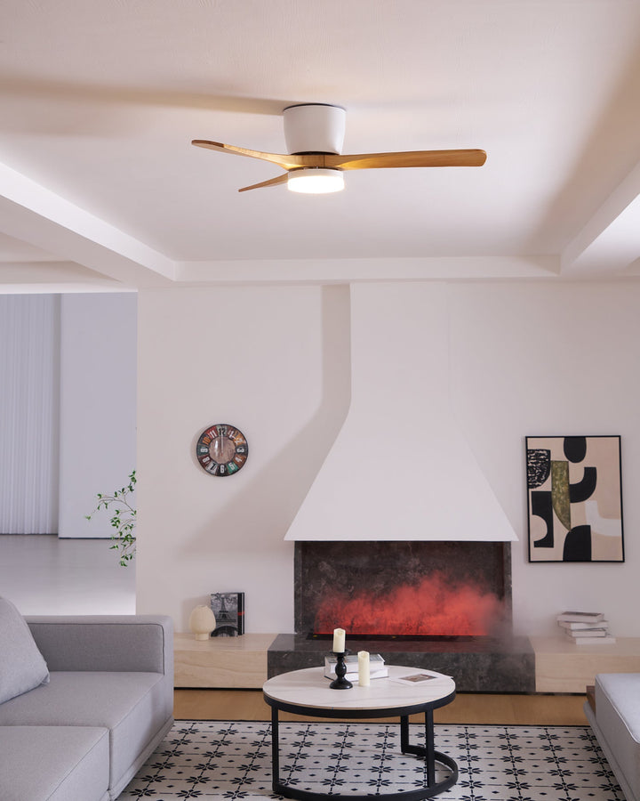 Elaerine Ceiling Fan Light