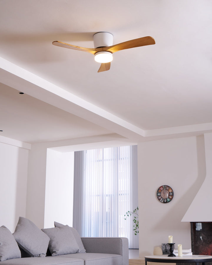 Elaerine Ceiling Fan Light