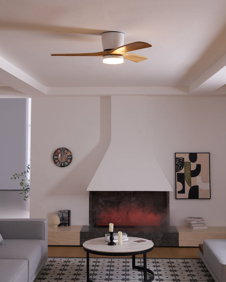 Elaerine Ceiling Fan Light
