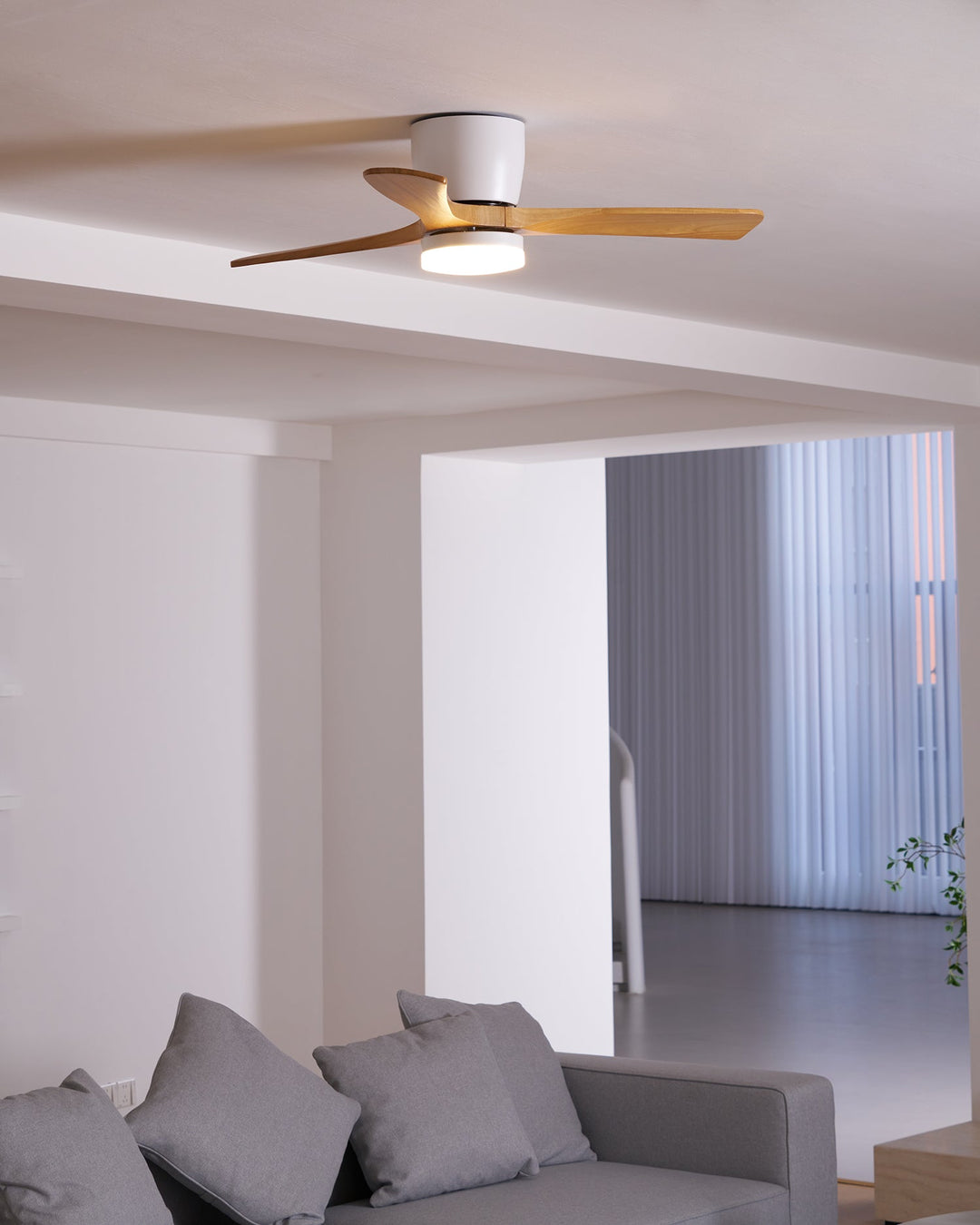 Elaerine Ceiling Fan Light