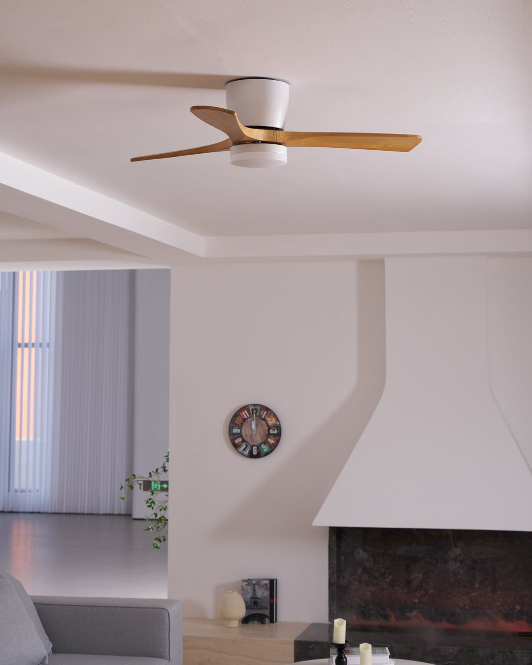 Elaerine Ceiling Fan Light