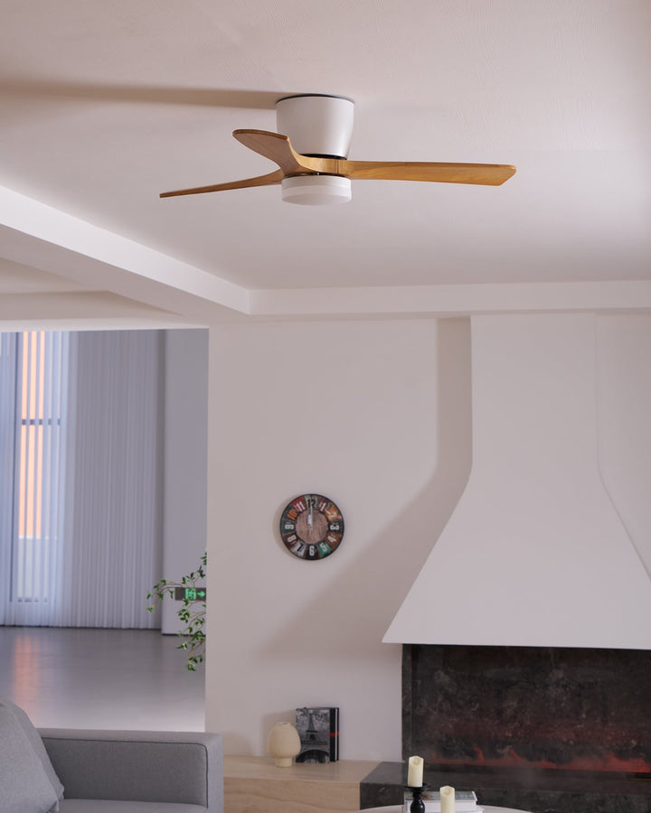 Elaerine Ceiling Fan Light