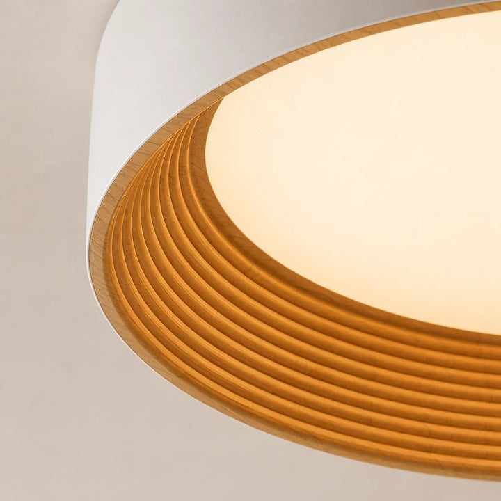 Remy Minimalist Round Flush Mount Ceiling Light