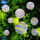 Rainbow Prism Suncatchers