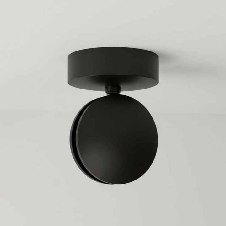 Walden Modern Rotatable LED Ceiling Lamp