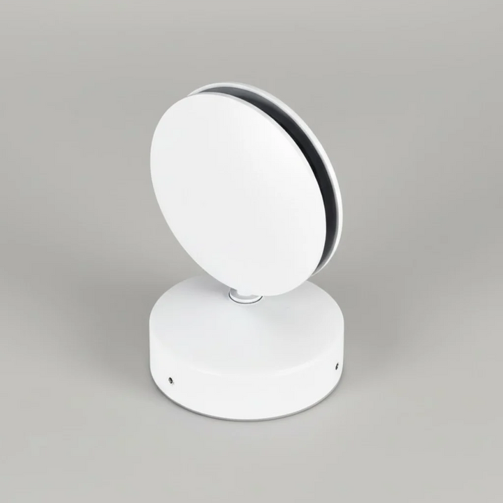 Walden Modern Rotatable LED Ceiling Lamp