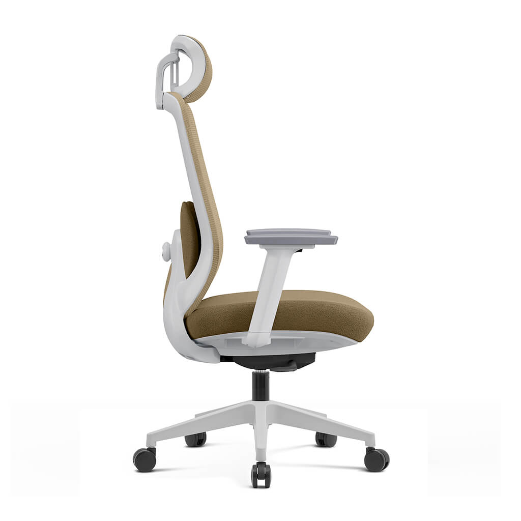 Arden Ergonomic Mesh Office Chair