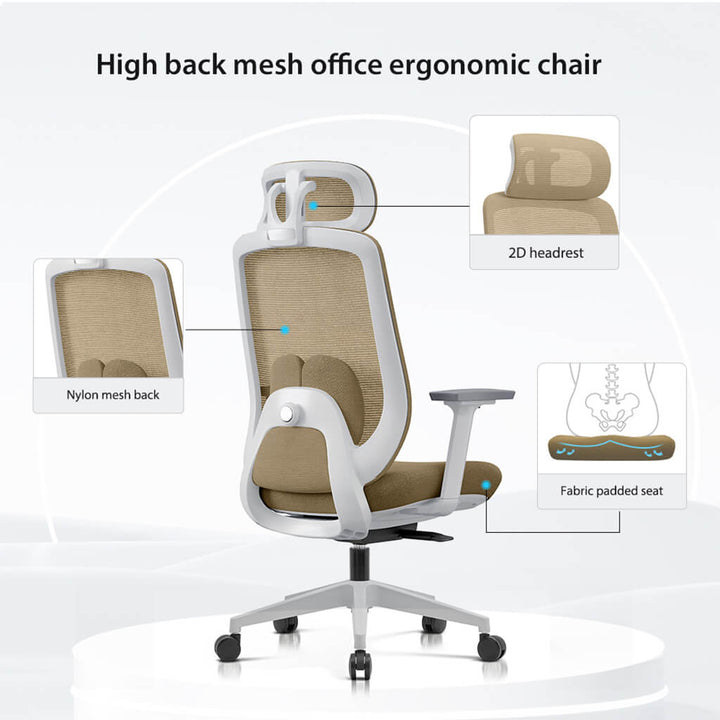 Arden Ergonomic Mesh Office Chair