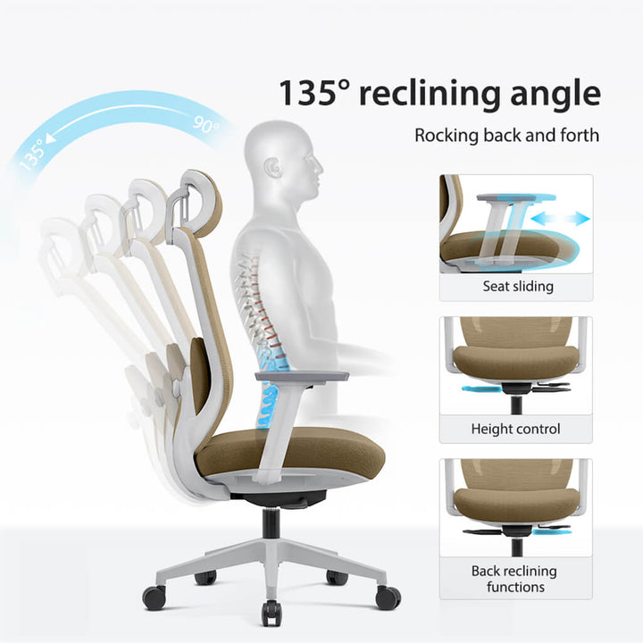 Arden Ergonomic Mesh Office Chair