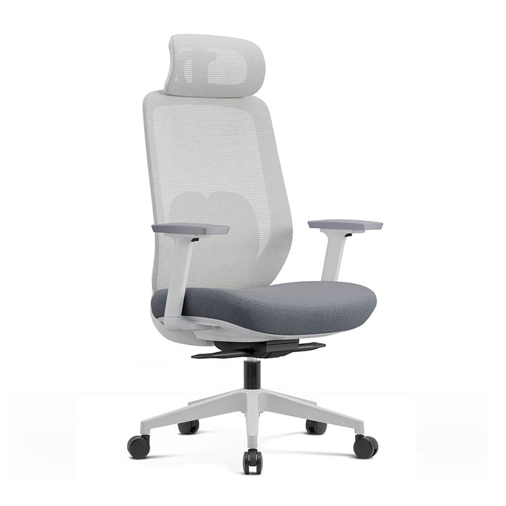 Arden Ergonomic Mesh Office Chair