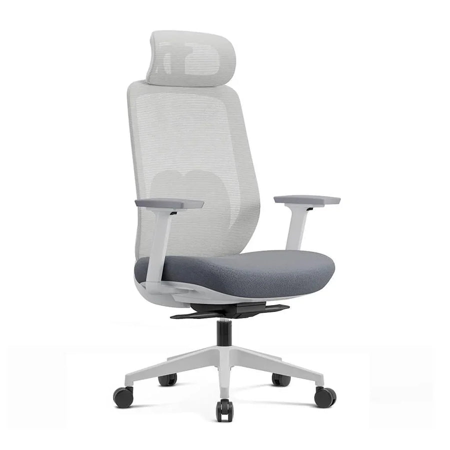 Arden Ergonomic Mesh Office Chair