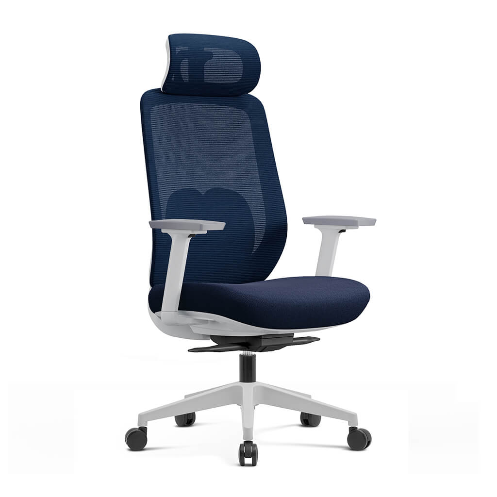 Arden Ergonomic Mesh Office Chair