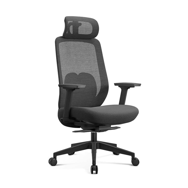 Arden Ergonomic Mesh Office Chair