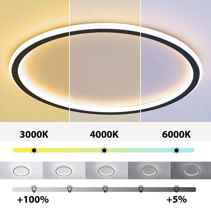 Varin Flush Mount Ceiling Light Modern LED Round