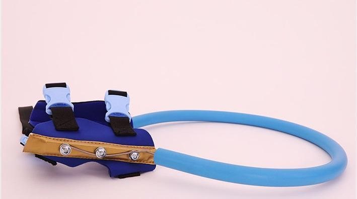 Blind dog halo harness with bumper ring