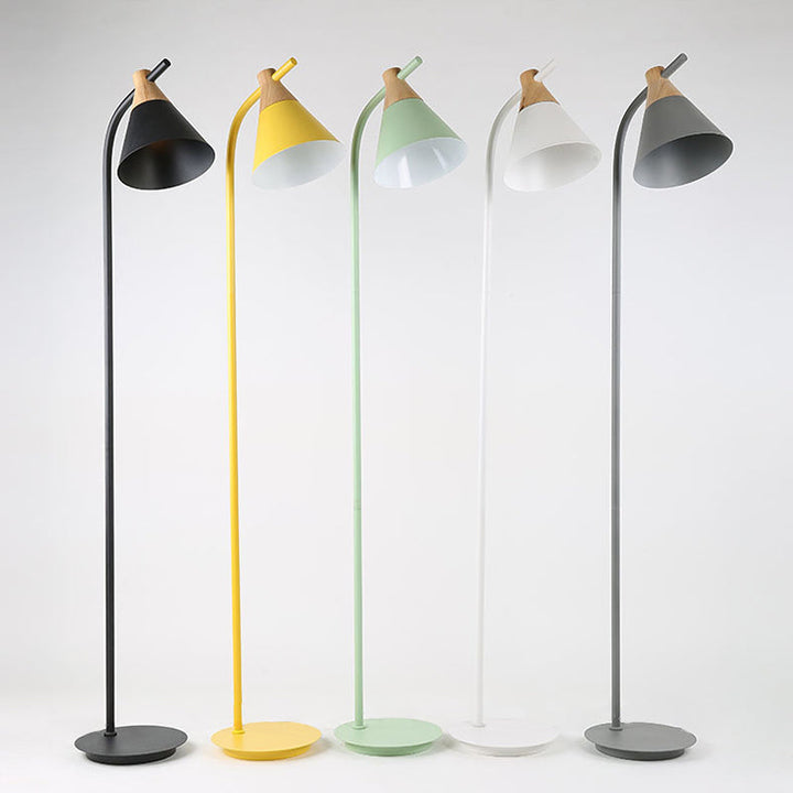 Curved Floor Lamp