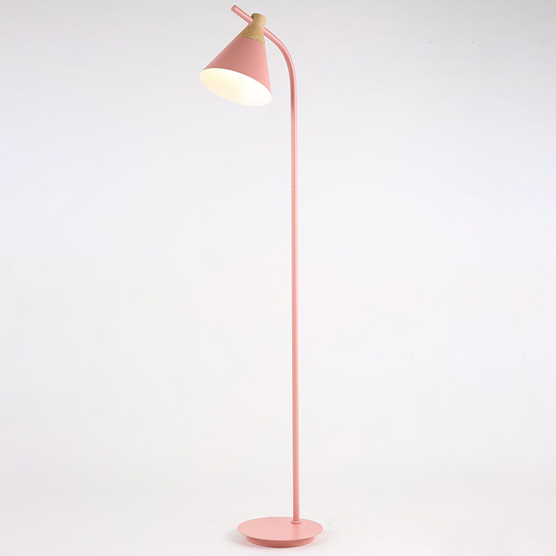 Curved Floor Lamp