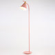 Curved Floor Lamp
