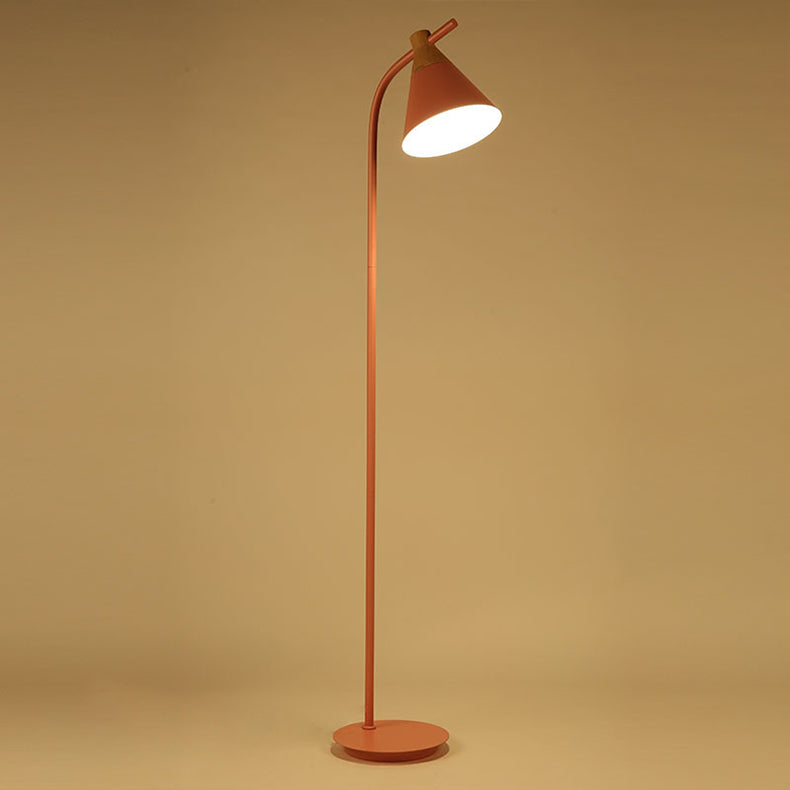 Curved Floor Lamp