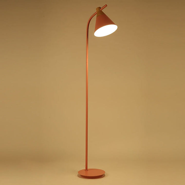 Curved Floor Lamp