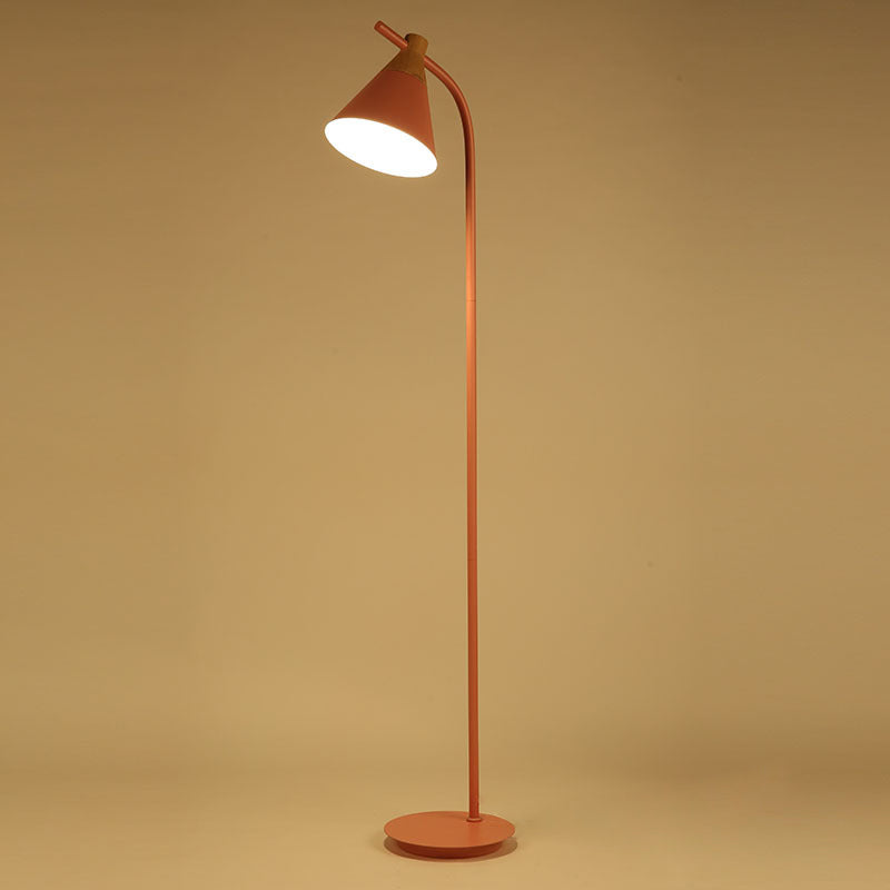 Curved Floor Lamp