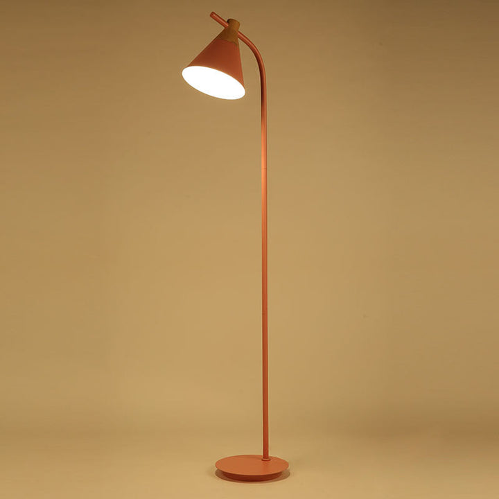 Curved Floor Lamp