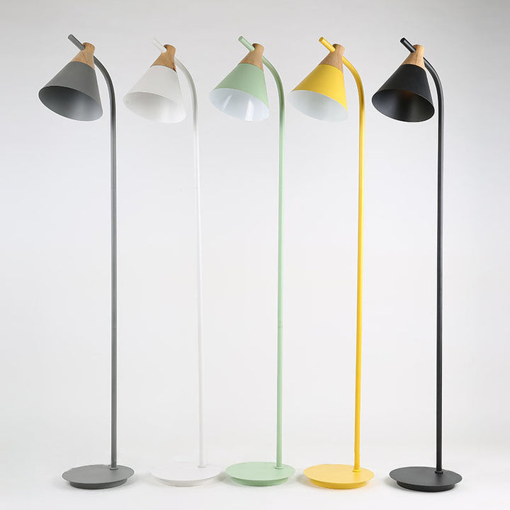 Curved Floor Lamp